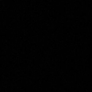 Meet your Posher, Larry